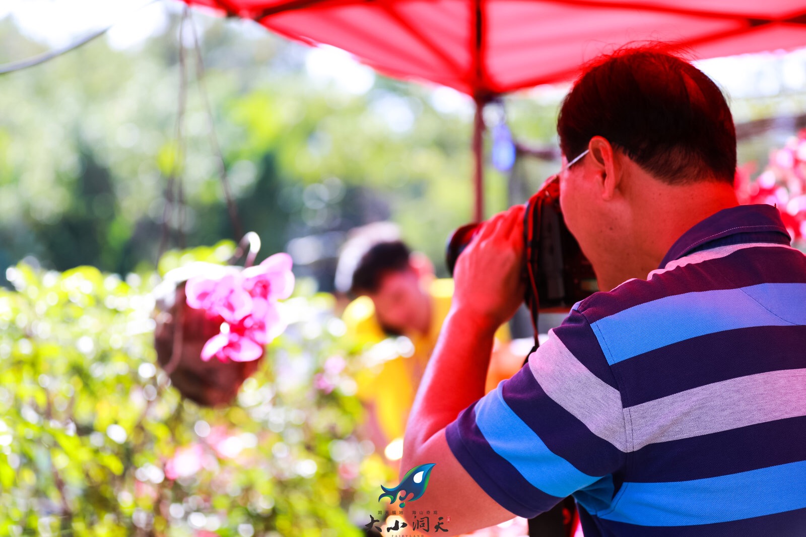 三亞迎春蘭花展在臨春嶺公園舉行，攝影愛好者在現(xiàn)場拍攝創(chuàng)作