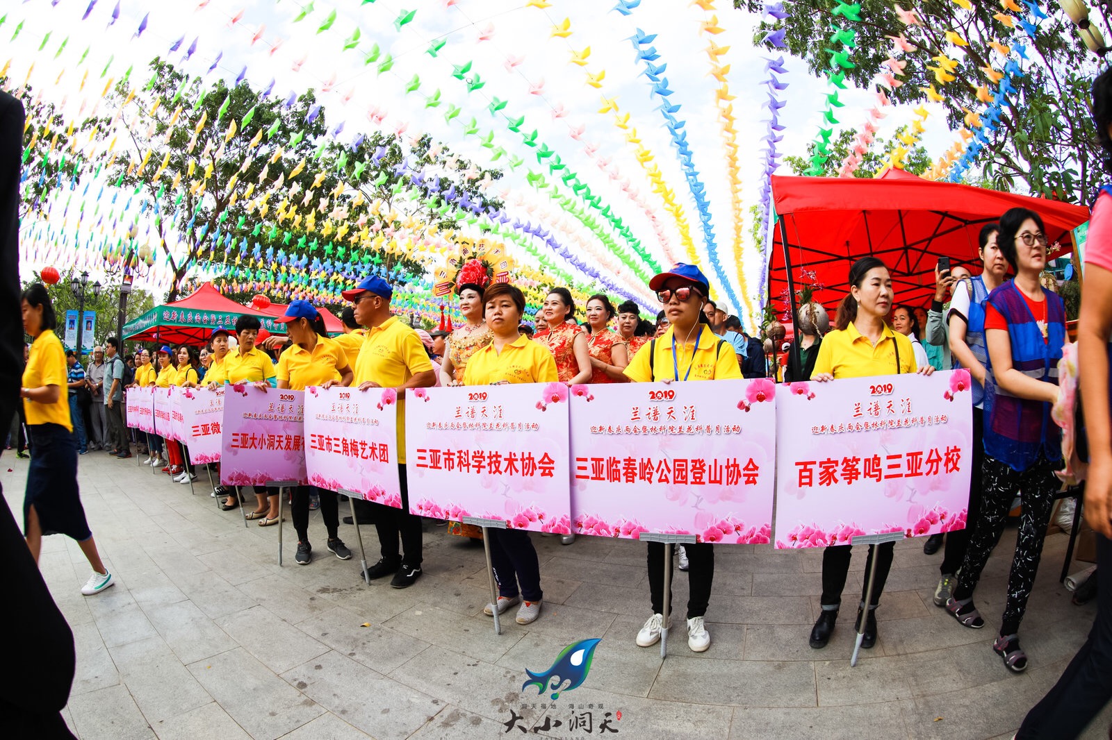 三亞迎春蘭花展在臨春嶺公園舉行 (2)