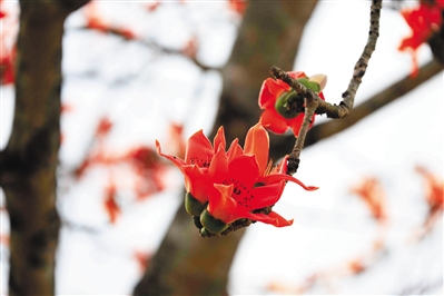 4210807_hnrbtp3_1549983114944_b