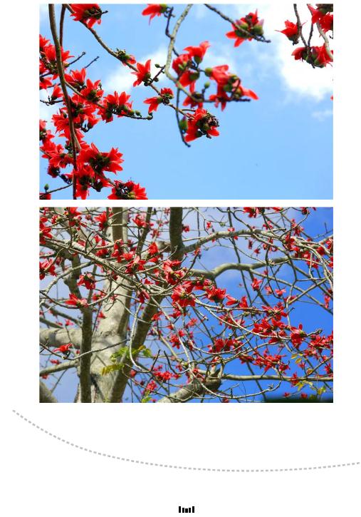 微信截圖_20190221112723