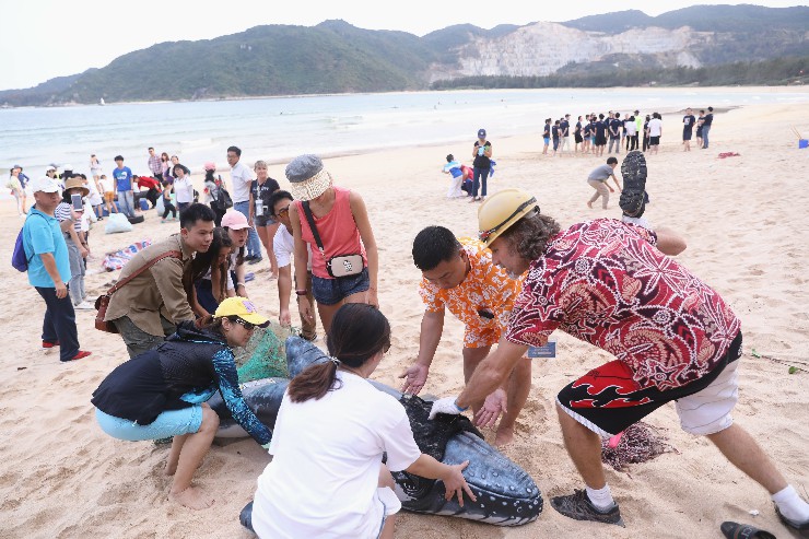 2月23日，志愿者在后海灣南部海灘區域撿拾垃圾-11