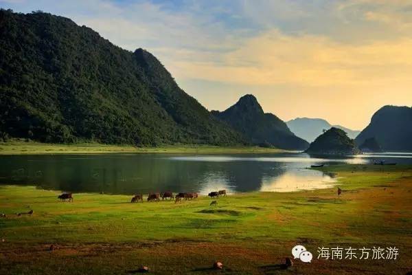 微信圖片_20190228095925