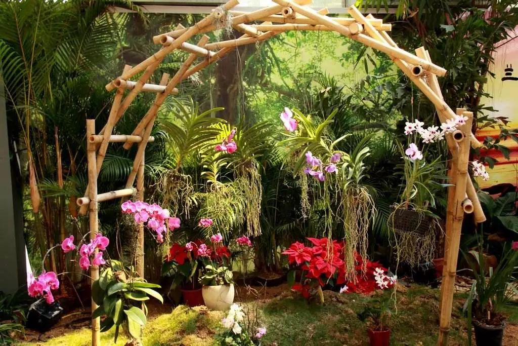 微信圖片_20190307110526 微信圖片_20190307110526