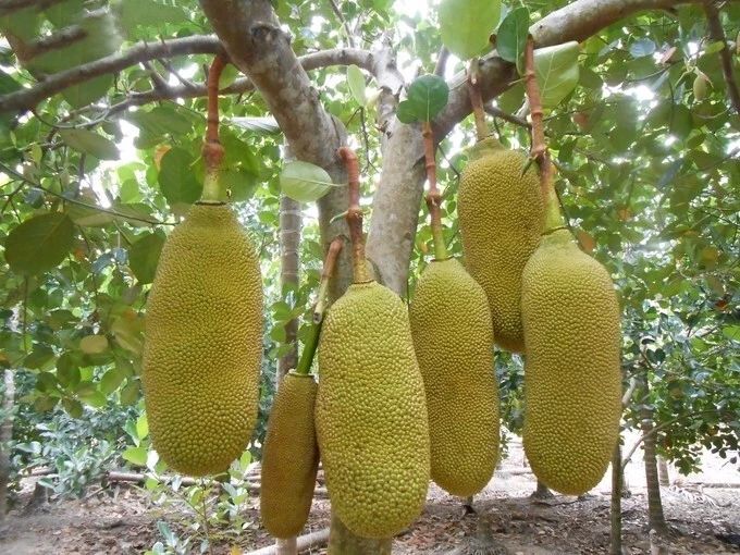 微信圖片_20190307110511 微信圖片_20190307110511