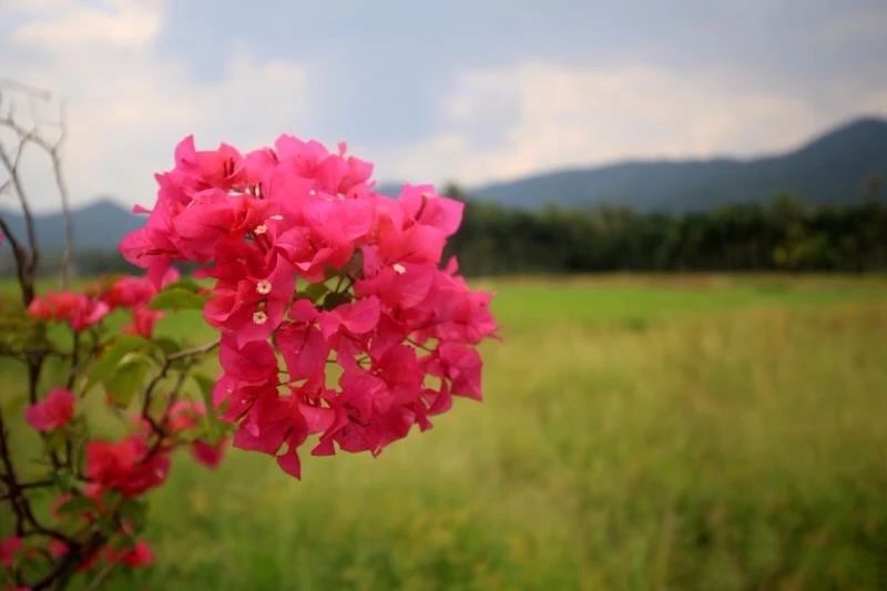 微信圖片_20190307110454 微信圖片_20190307110454