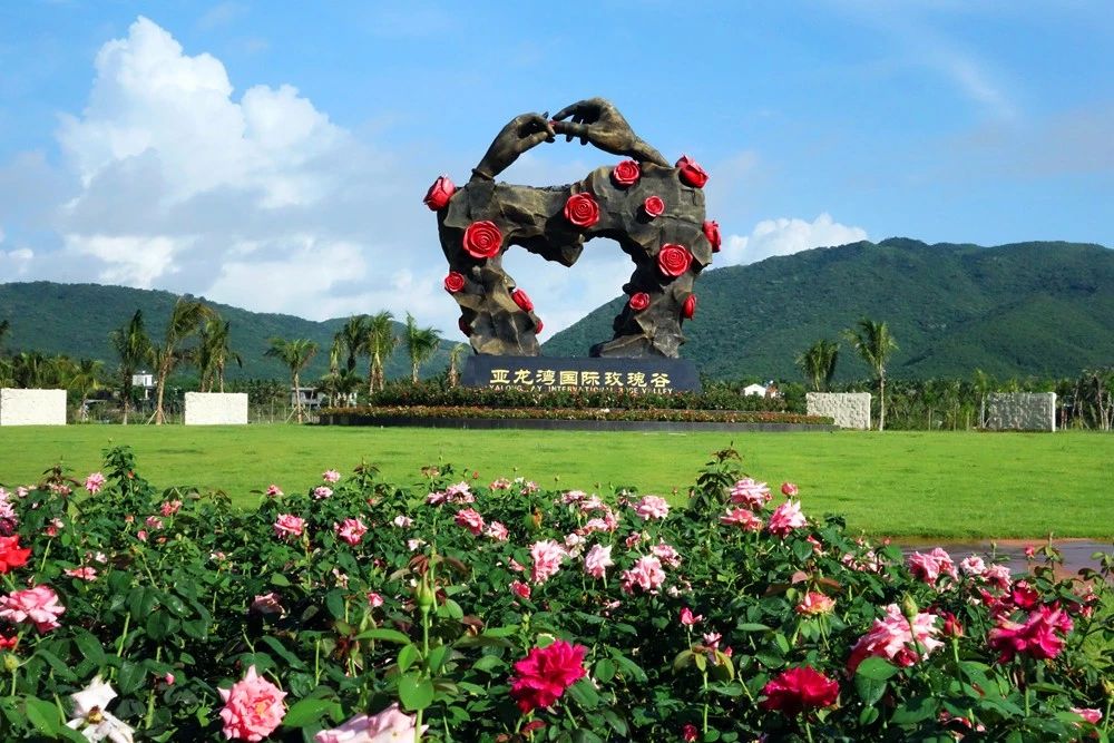 微信圖片_20190307110514 微信圖片_20190307110514