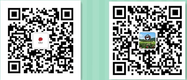 微信圖片_20190508110826