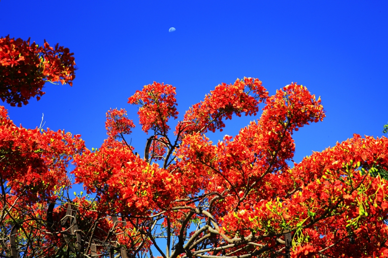 微信圖片_20190514175540(1)