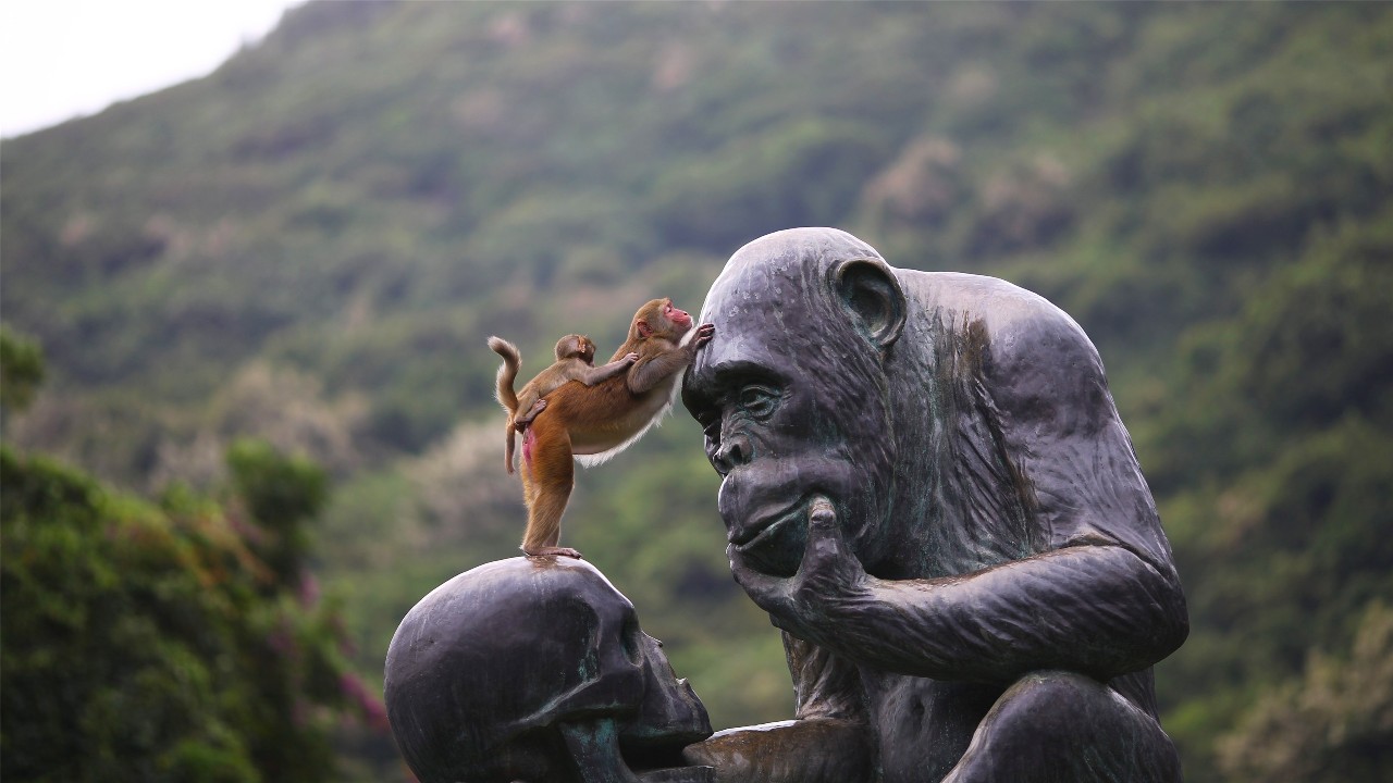 微信圖片_20190517145615 微信圖片_20190517145615