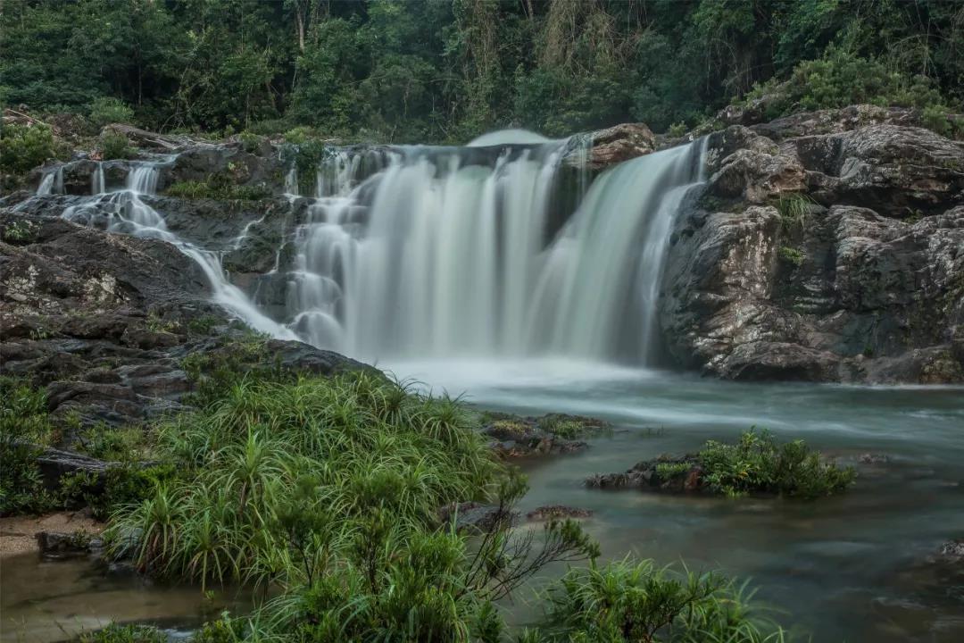 微信圖片_20190517145848 微信圖片_20190517145848