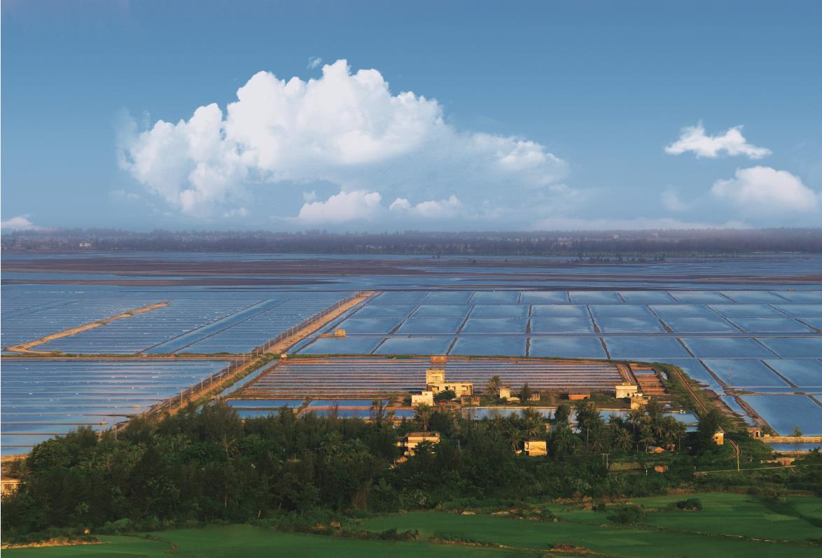 微信圖片_20190522113140