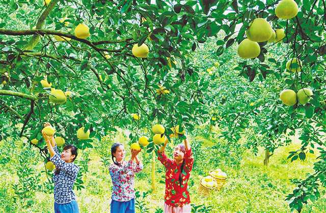 44607980-b259-4d76-abf7-45b820b8f13a 44607980-b259-4d76-abf7-45b820b8f13a