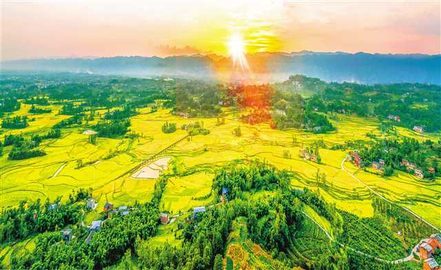 d01402e8-ba6c-4fdf-999d-22b19b0a163f d01402e8-ba6c-4fdf-999d-22b19b0a163f