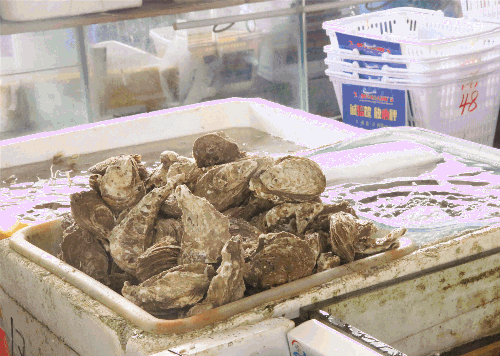 微信圖片_20190529100409