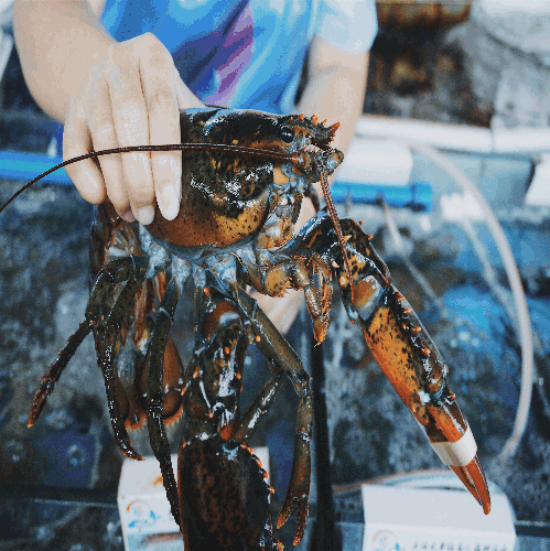 微信圖片_20190529100405