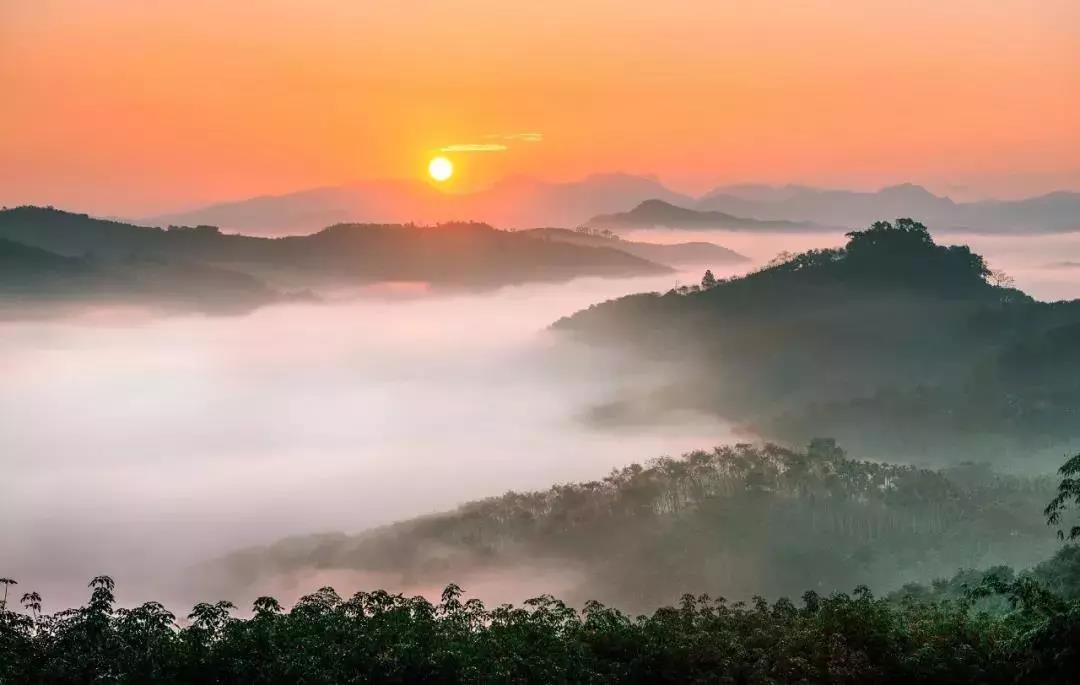 微信圖片_20190624180112