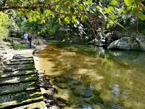 微信圖片_20190624180125