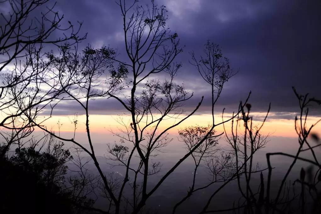 微信圖片_20190624180159