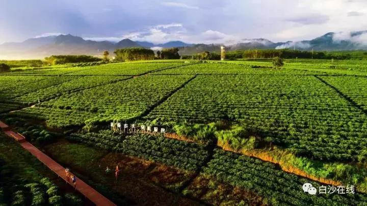 微信圖片_20190624180047