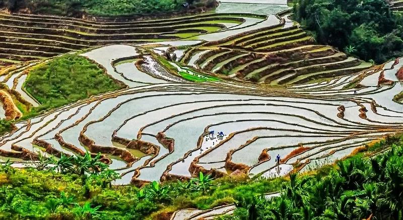 微信圖片_20190624180136