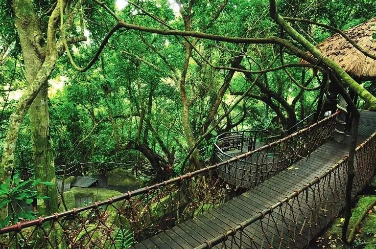 微信圖片_20190624180142