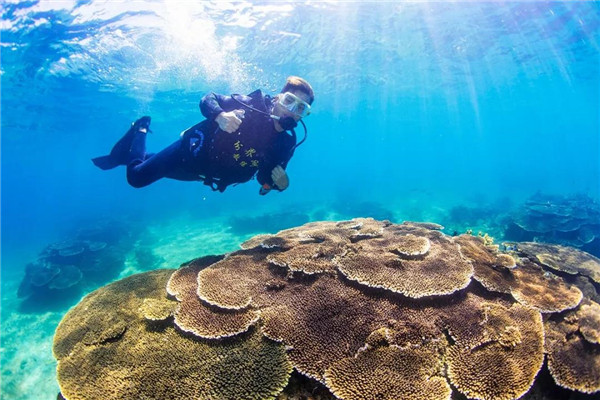 微信圖片_20190701175803