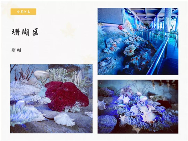 微信圖片_20190701175630