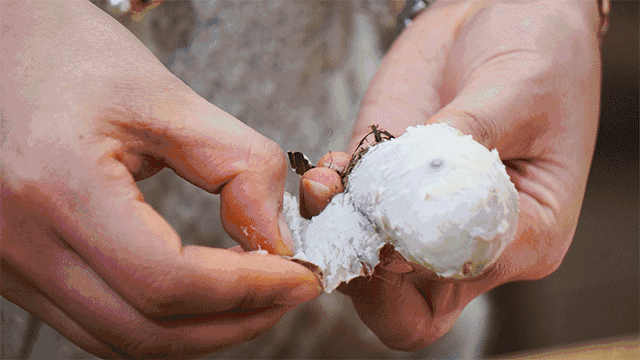 微信圖片_20190709172029