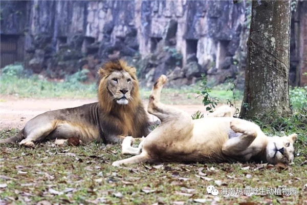 微信圖片_20190712095509