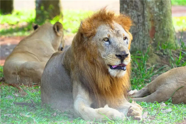 微信圖片_20190712095532