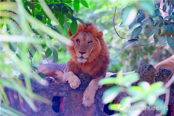 微信圖片_20190712095540