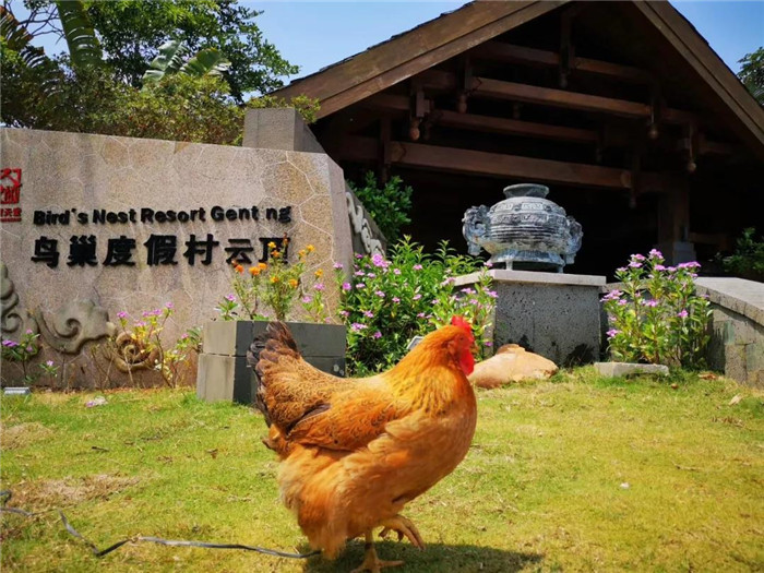 微信圖片_20190715170327