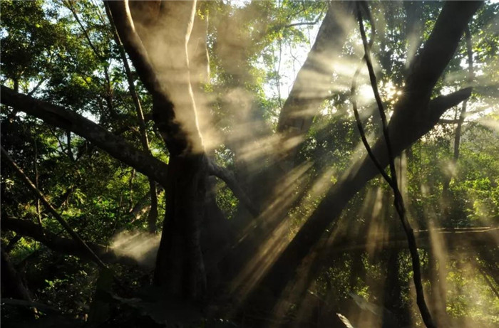 微信圖片_20190715165105