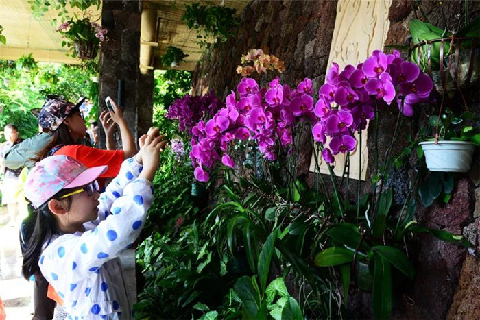 微信圖片_20190715165111