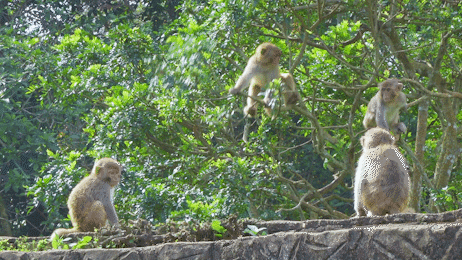 微信圖片_20190718153640