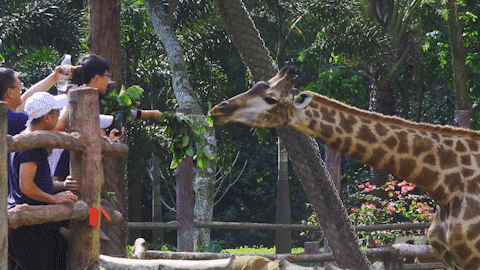 微信圖片_20190718153637