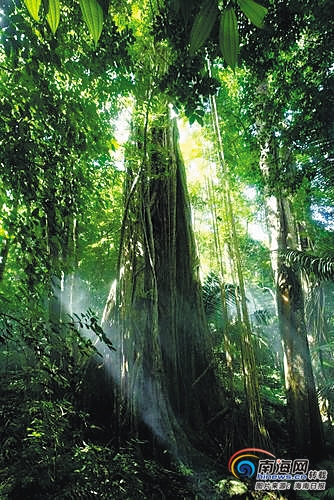 00320371356_3ab757d8