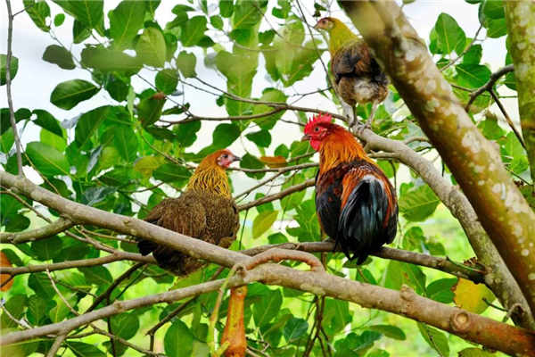 微信圖片_20191031091908