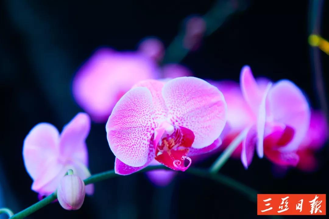 微信圖片_20191205171638