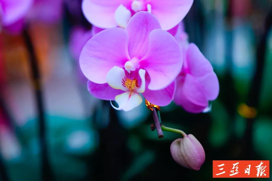 微信圖片_20191205171648