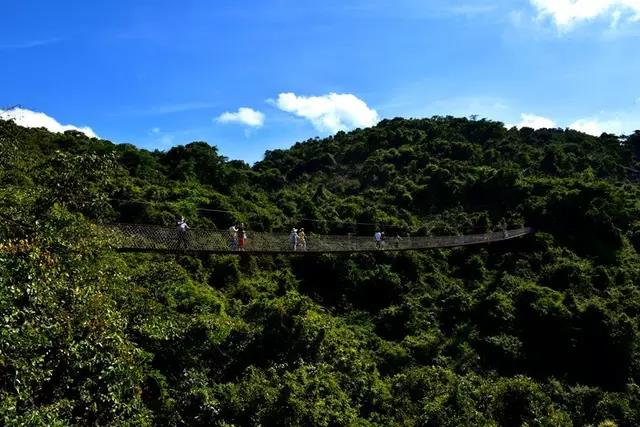 微信圖片_20200304094900