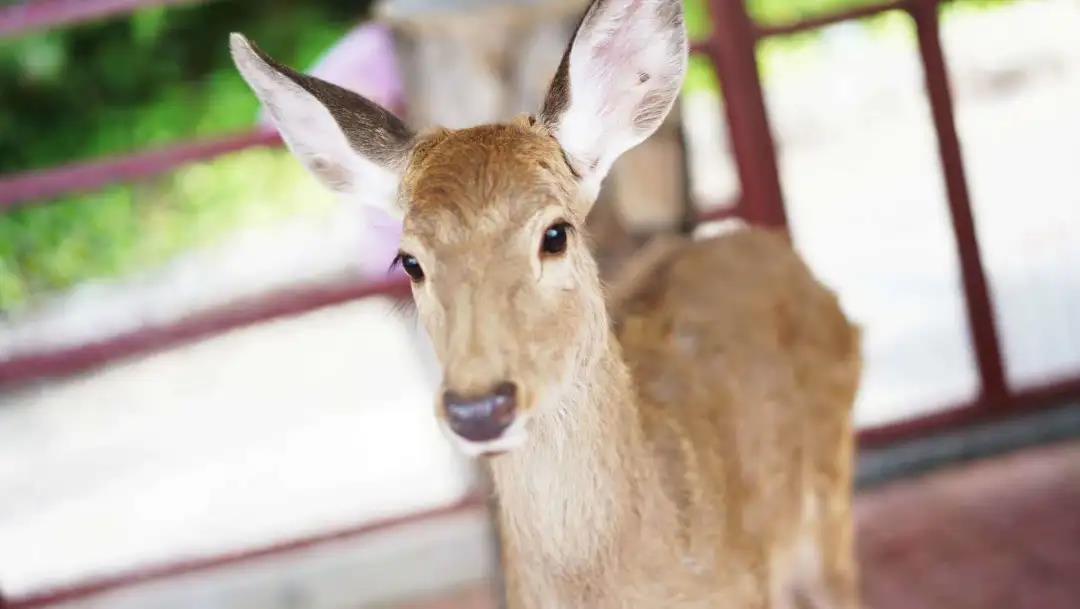 微信圖片_20200315115107