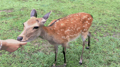 微信圖片_20200315115041