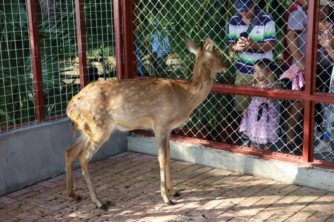 微信圖片_20200315115118