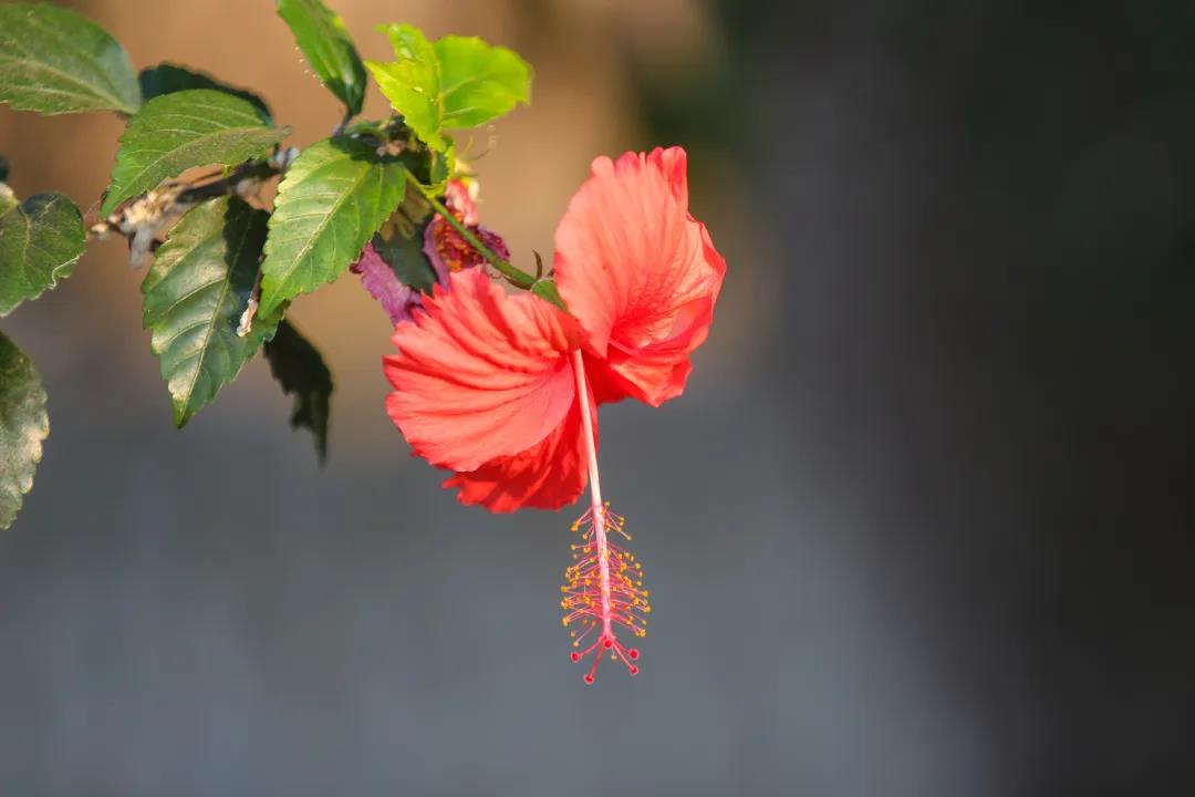 微信圖片_20200326094207 微信圖片_20200326094207