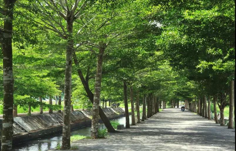 微信圖片_20200428095903