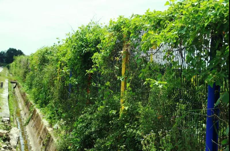 微信圖片_20200428095907