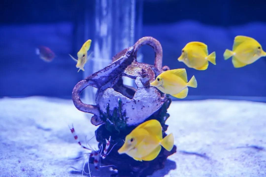 微信圖片_20200501125334