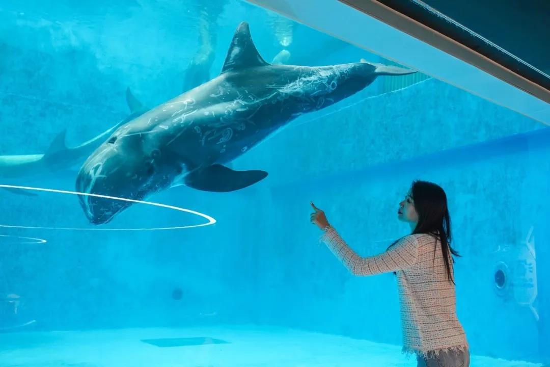 微信圖片_20200501125339