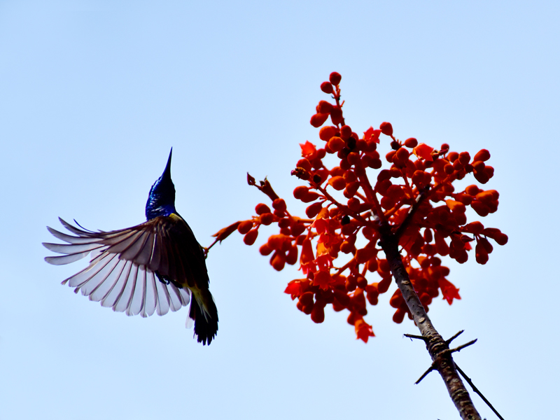 微信圖片_20200507182026